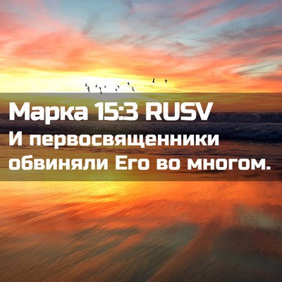 Picture 02 - Марка 15:3 RUSV - И первосвященники - Bible Verse Picture