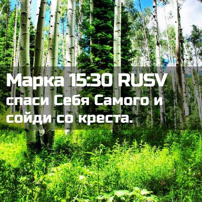 Picture 02 - Марка 15:30 RUSV - спаси Себя Самого и сойди - Bible Verse Picture