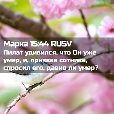 Picture 02 - Марка 15:44 RUSV - Пилат удивился, что Он уже - Bible Verse Picture