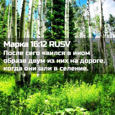 Picture 02 - Марка 16:12 RUSV - После сего явился в ином - Bible Verse Picture