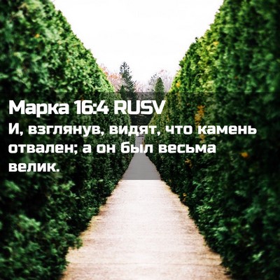 Picture 02 - Марка 16:4 RUSV - И, взглянув, видят, что - Bible Verse Picture