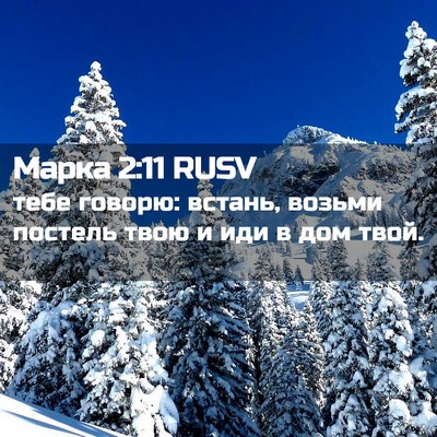 Picture 02 - Марка 2:11 RUSV - тебе говорю: встань, возьми - Bible Verse Picture