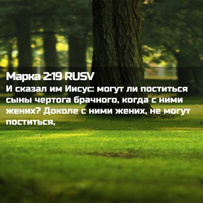 Picture 02 - Марка 2:19 RUSV - И сказал им Иисус: могут ли - Bible Verse Picture