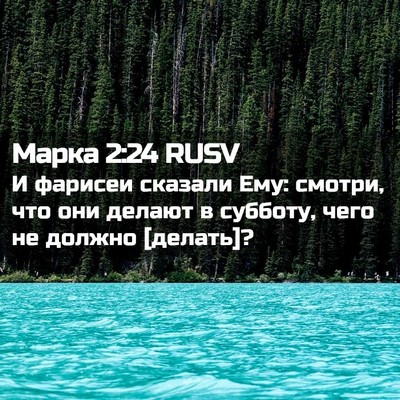 Picture 02 - Марка 2:24 RUSV - И фарисеи сказали Ему: - Bible Verse Picture