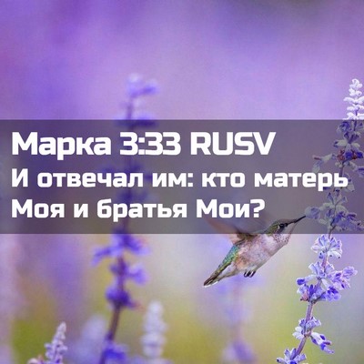 Picture 02 - Марка 3:33 RUSV - И отвечал им: кто матерь - Bible Verse Picture