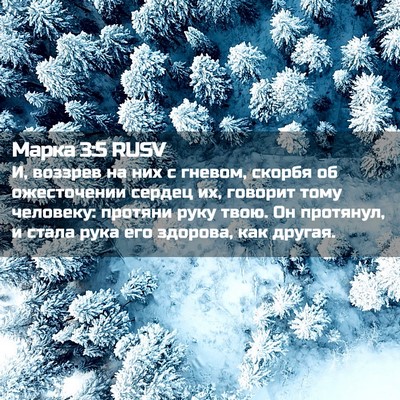 Picture 02 - Марка 3:5 RUSV - И, воззрев на них с гневом, - Bible Verse Picture
