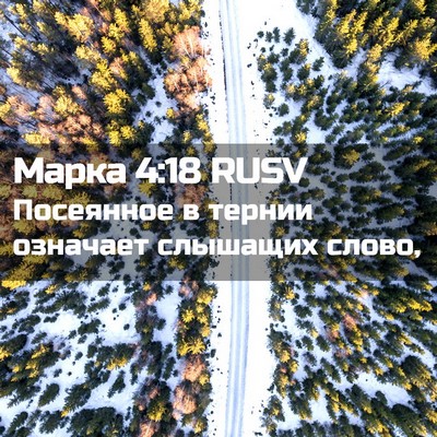 Picture 02 - Марка 4:18 RUSV - Посеянное в тернии - Bible Verse Picture