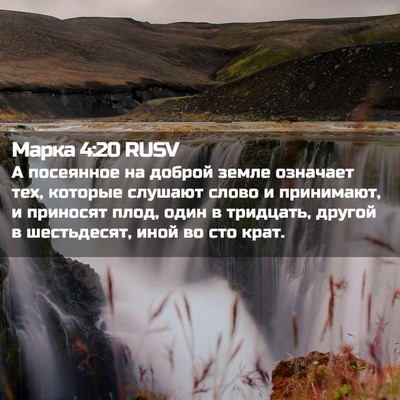 Picture 02 - Марка 4:20 RUSV - А посеянное на доброй - Bible Verse Picture