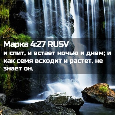 Picture 02 - Марка 4:27 RUSV - и спит, и встает ночью и - Bible Verse Picture
