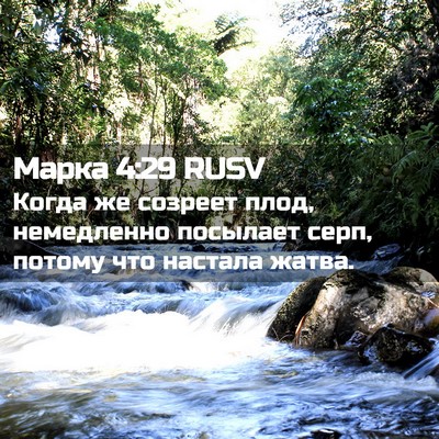 Picture 02 - Марка 4:29 RUSV - Когда же созреет плод, - Bible Verse Picture