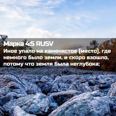 Picture 02 - Марка 4:5 RUSV - Иное упало на каменистое - Bible Verse Picture