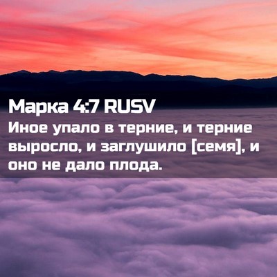 Picture 02 - Марка 4:7 RUSV - Иное упало в терние, и - Bible Verse Picture