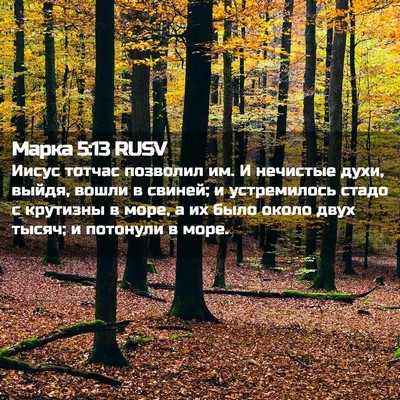 Picture 02 - Марка 5:13 RUSV - Иисус тотчас позволил им. И - Bible Verse Picture