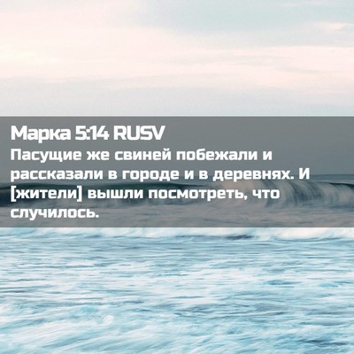 Picture 02 - Марка 5:14 RUSV - Пасущие же свиней побежали - Bible Verse Picture