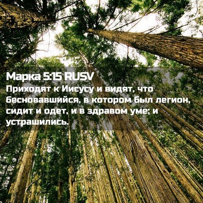 Picture 02 - Марка 5:15 RUSV - Приходят к Иисусу и видят, - Bible Verse Picture