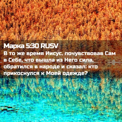 Picture 02 - Марка 5:30 RUSV - В то же время Иисус, - Bible Verse Picture