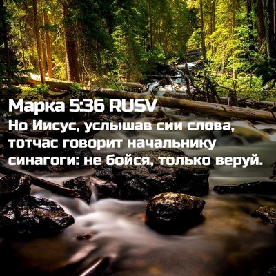 Picture 02 - Марка 5:36 RUSV - Но Иисус, услышав сии - Bible Verse Picture