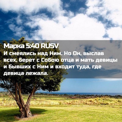 Picture 02 - Марка 5:40 RUSV - И смеялись над Ним. Но Он, - Bible Verse Picture