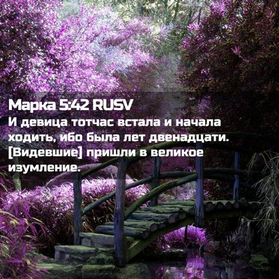 Picture 02 - Марка 5:42 RUSV - И девица тотчас встала и - Bible Verse Picture
