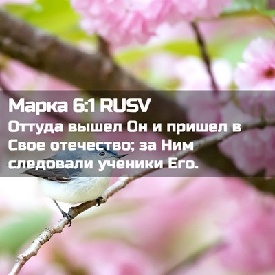 Picture 02 - Марка 6:1 RUSV - Оттуда вышел Он и пришел в - Bible Verse Picture