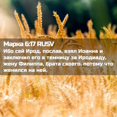 Picture 02 - Марка 6:17 RUSV - Ибо сей Ирод, послав, взял - Bible Verse Picture