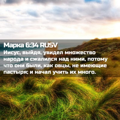 Picture 02 - Марка 6:34 RUSV - Иисус, выйдя, увидел - Bible Verse Picture
