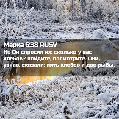 Picture 02 - Марка 6:38 RUSV - Но Он спросил их: сколько у - Bible Verse Picture