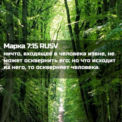 Picture 02 - Марка 7:15 RUSV - ничто, входящее в человека - Bible Verse Picture