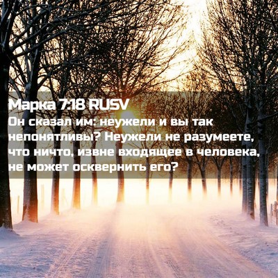 Picture 02 - Марка 7:18 RUSV - Он сказал им: неужели и вы - Bible Verse Picture