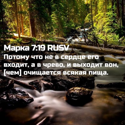 Picture 02 - Марка 7:19 RUSV - Потому что не в сердце его - Bible Verse Picture