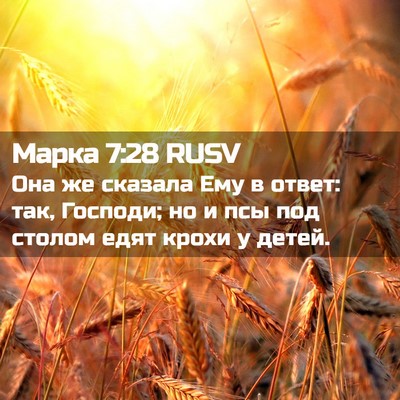 Picture 02 - Марка 7:28 RUSV - Она же сказала Ему в ответ: - Bible Verse Picture