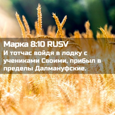 Picture 02 - Марка 8:10 RUSV - И тотчас войдя в лодку с - Bible Verse Picture