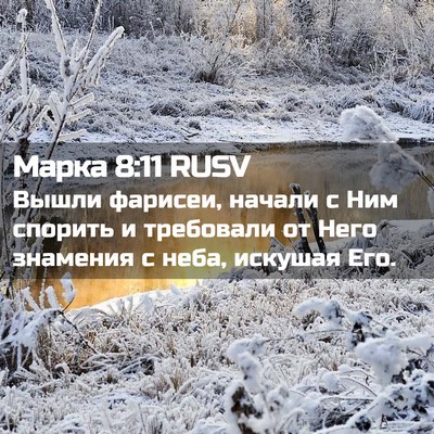 Picture 02 - Марка 8:11 RUSV - Вышли фарисеи, начали с Ним - Bible Verse Picture