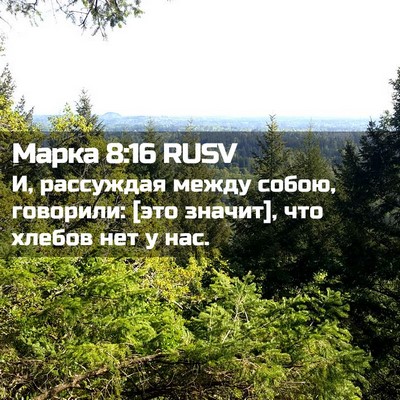 Picture 02 - Марка 8:16 RUSV - И, рассуждая между собою, - Bible Verse Picture