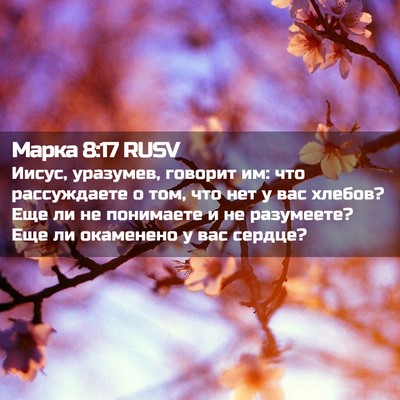 Picture 02 - Марка 8:17 RUSV - Иисус, уразумев, говорит - Bible Verse Picture