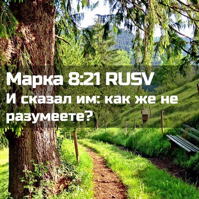 Picture 02 - Марка 8:21 RUSV - И сказал им: как же не - Bible Verse Picture