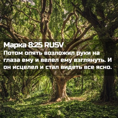 Picture 02 - Марка 8:25 RUSV - Потом опять возложил руки - Bible Verse Picture