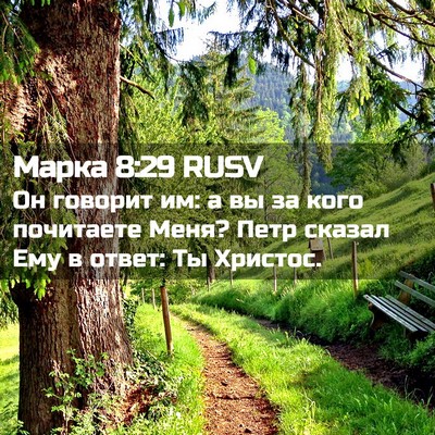 Picture 02 - Марка 8:29 RUSV - Он говорит им: а вы за кого - Bible Verse Picture