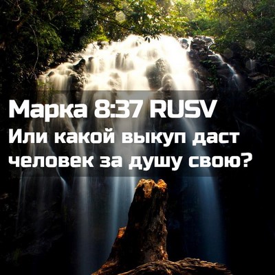 Picture 02 - Марка 8:37 RUSV - Или какой выкуп даст - Bible Verse Picture
