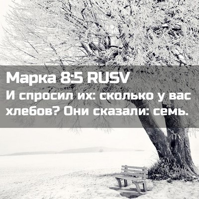 Picture 02 - Марка 8:5 RUSV - И спросил их: сколько у вас - Bible Verse Picture