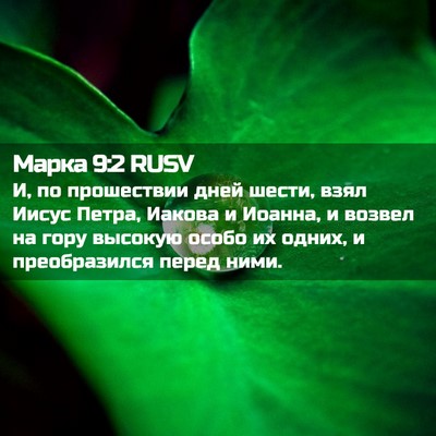 Picture 02 - Марка 9:2 RUSV - И, по прошествии дней - Bible Verse Picture