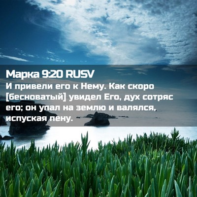 Picture 02 - Марка 9:20 RUSV - И привели его к Нему. Как - Bible Verse Picture