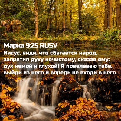 Picture 02 - Марка 9:25 RUSV - Иисус, видя, что сбегается - Bible Verse Picture