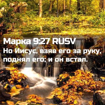 Picture 02 - Марка 9:27 RUSV - Но Иисус, взяв его за руку, - Bible Verse Picture