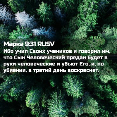 Picture 02 - Марка 9:31 RUSV - Ибо учил Своих учеников и - Bible Verse Picture