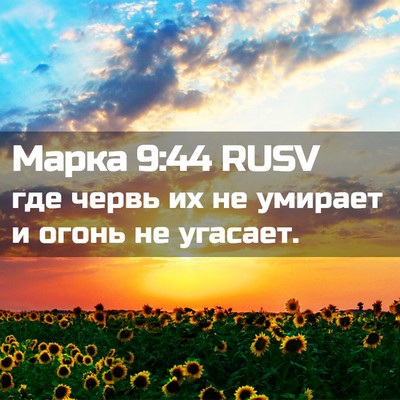 Picture 02 - Марка 9:44 RUSV - где червь их не умирает и - Bible Verse Picture