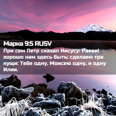 Picture 02 - Марка 9:5 RUSV - При сем Петр сказал Иисусу: - Bible Verse Picture