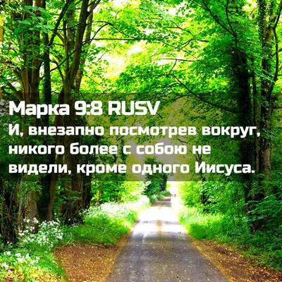 Picture 02 - Марка 9:8 RUSV - И, внезапно посмотрев - Bible Verse Picture