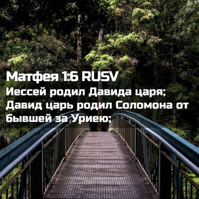 Picture 02 - Матфея 1:6 RUSV - Иессей родил Давида царя; - Bible Verse Picture