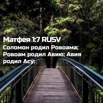 Picture 02 - Матфея 1:7 RUSV - Соломон родил Ровоама; - Bible Verse Picture